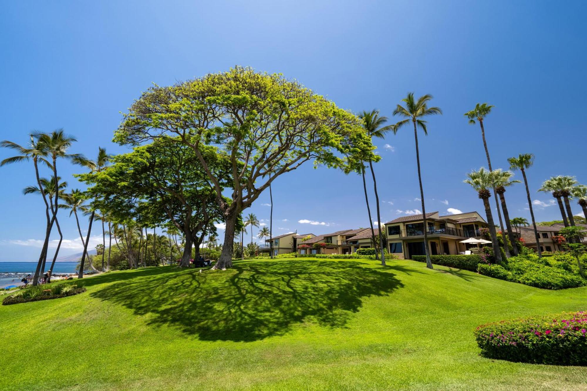 Elua 2001 Villa Wailea  Luaran gambar